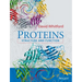 Proteins: Structure and Function
