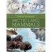 Animals Illustrated: Arctic Land Mammals