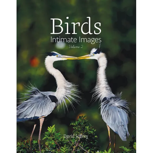 Birds: Intimate Images Volume 2