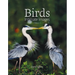 Birds: Intimate Images Volume 2