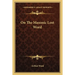 On The Masonic Lost Word