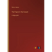 The Figure in the Carpet: in large print