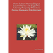 Vishnu Suktam Mantra: Original Sanskrit Mantra with English for Achieving Prosperity, Protection, Positive Energy and Enlightenment
