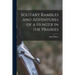 Solitary Rambles and Adventures of a Hunter in the Prairies [microform]