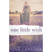 One Little Wish: a romantic suspense novel