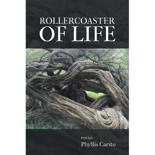 Rollercoaster of Life