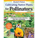 Cultivating Native Plants for Pollinators: A Comprehensive Guide to Attracting Birds, Bees, and Butterflies