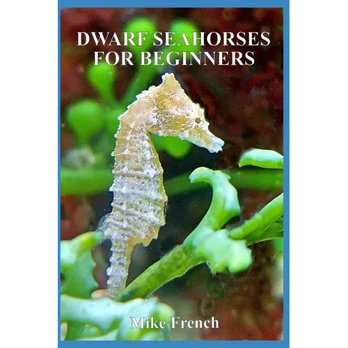 Dwarf Seahorses For Beginners