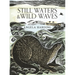 Still Waters & Wild Waves: The Beautiful New Book from Printmaker and Illustrator Angela Harding