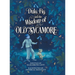 Dula, Fig, and the Wisdom of Old Sycamore
