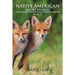 Native American Short Stories: Book II