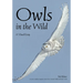 Owls in the Wild: A Visual Essay