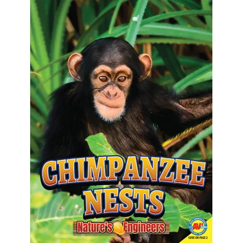 Chimpanzee Nests