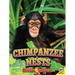 Chimpanzee Nests