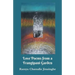 Love Poems from a Frangipani Garden