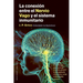 Conexión Entre El Nervio Vago Y El Sistema Inmunitario, La