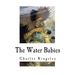 The Water Babies: A Fairy Tale for a Land Baby