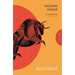 Bullfight