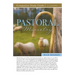 Pastoral Ministry Study Guide
