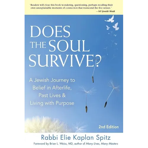 Does the Soul Survive? (2nd Edition): A Jewish Journey to Belief in Afterlife, Past Lives & Living with Purpose