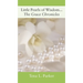 Little Pearls of Wisdom...The Grace Chronicles