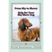 From Shy to Showy: Help for your shy show dog