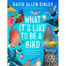 What It's Like to Be a Bird (Adapted for Young Readers): From Flying to Nesting, Eating to Singing--What Birds Are Doing and Why
