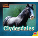 Clydesdales