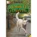 Waggit Forever