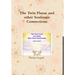 The Twin Flame and other Soulmate Connections