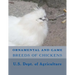 Ornamental and Game Breeds of Chickens