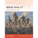 Sinai 1916-17: The Fight for the Suez Canal