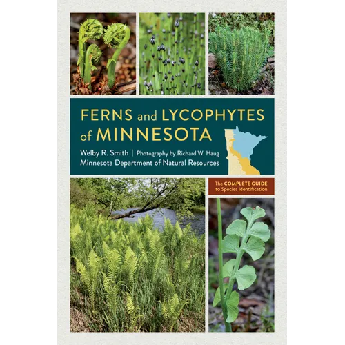 Ferns and Lycophytes of Minnesota: The Complete Guide to Species Identification