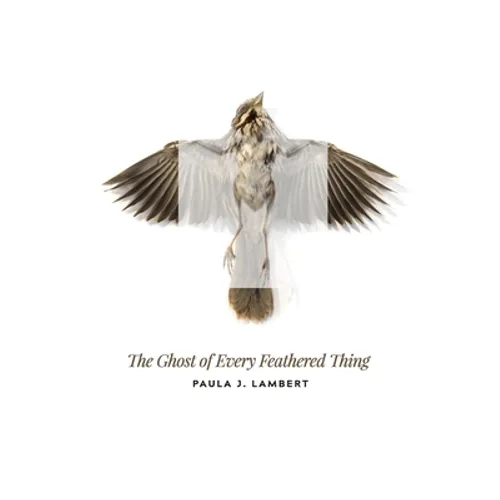 The Ghost of Every Feathered Thing