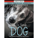 How to Speak Dog (Large Print): Dog Training Simplified For Dog Owners
