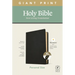 NLT Personal Size Giant Print Bible, Filament Enabled Edition (Red Letter, Genuine Leather, Black, Indexed)