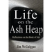 Life On the Ash heap: Reflections On the Book of Job
