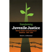 Transforming Juvenile Justice: Reform Ideals and Institutional Realities, 1825-1920