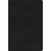 ESV Large Print Compact Bible, Red Letter (Trutone, Black)