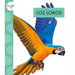 Los Loros