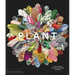Plant: Exploring the Botanical World
