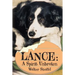 Lance: A Spirit Unbroken