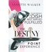 The Destiny Point Experience