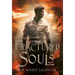 Fractured Souls (Fallen Messengers Book 1)
