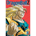 Dragon Ball Z (Vizbig Edition), Vol. 9