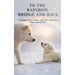 To The Rainbow Bridge And Back