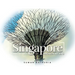 Singapore: Through My Lens