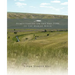 Homesteading on the Dry Fork of the Marias River