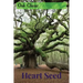 Heart Seed