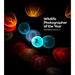 Wildlife Photographer of the Year: Highlights Volume 11: Volume 11